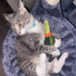 Meowijuana Get Toasted Refillable Champagne Bottle Cat Toy - Poudre Pet & Feed Supply 2